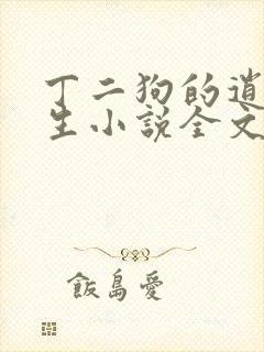 丁二狗的逍遥人生小说全文无删减有声