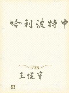 哈利波特中文版