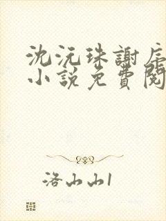 沈沅珠谢序川的小说免费阅读全文封面