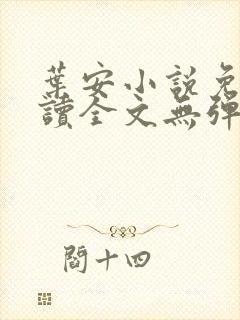 叶安小说免费阅读全文无弹窗