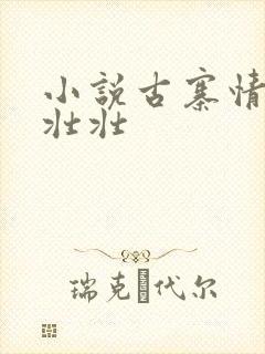 小说古寨情缘安壮壮