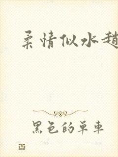 柔情似水赵雅儿