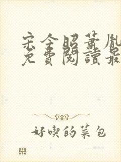 宋今昭萧胤小说免费阅读最新章节