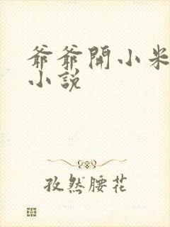 爷爷开小米的包小说封面