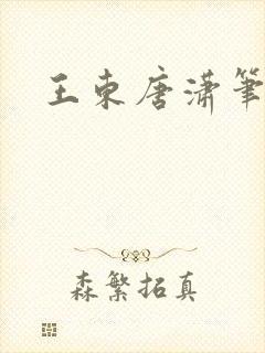 王东唐潇笔趣阁