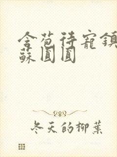 含苞待宠镇国公苏圆圆