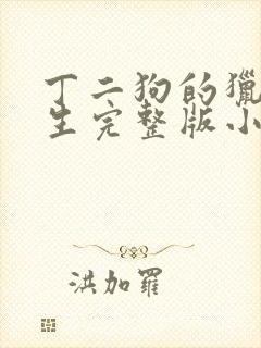 丁二狗的猎艳人生完整版小说下载