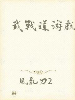 武战道游戏封面