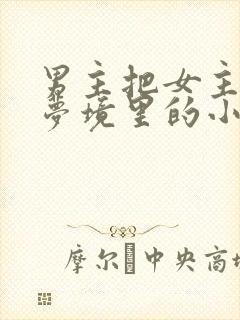 男主把女主拖进梦境里的小说