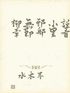 柳无邪小说最新章节哪里看封面