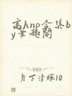 高hnp合集by笔趣阁