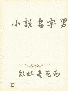 小说名字男生