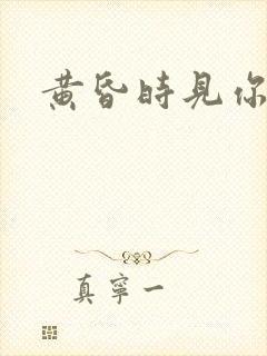 黄昏时见你封面