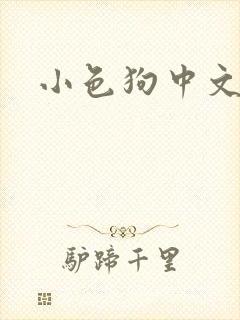 小色狗中文网封面