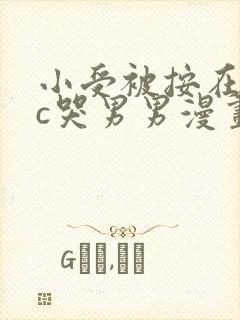 小受被按在墙上c哭男男漫画封面