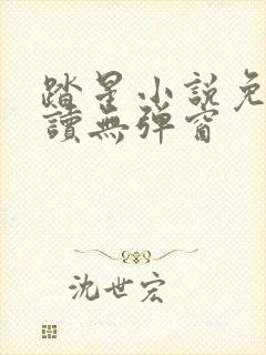 踏星小说免费阅读无弹窗