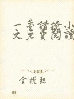 一梦错撩小说全文免费阅读无弹窗封面