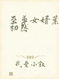 至尊女婿叶辰萧初然封面