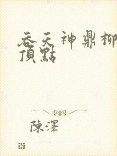 吞天神鼎柳无邪顶点