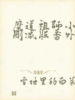 魔道祖师小说无删减版番外封面