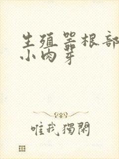 生殖器根部长了小肉芽封面