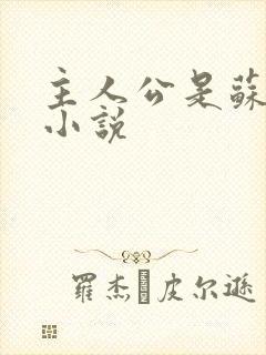 主人公是苏轩的小说