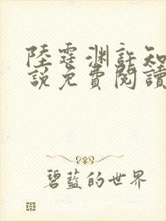 陆霆渊许知夏小说免费阅读最新章节