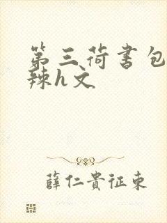 第三荷书包网高辣h文