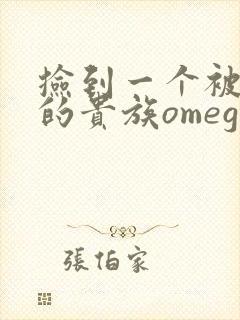 捡到一个被抹布的贵族omega封面