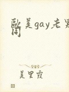 欧美gay老男同
