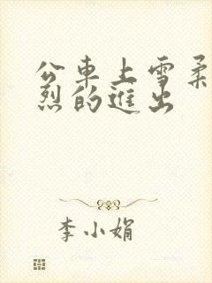 公车上雪柔被猛烈的进出