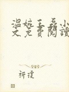 温婉王磊小说全文免费阅读无弹窗封面