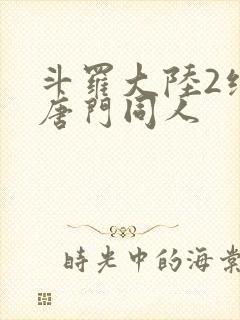 斗罗大陆2绝世唐门同人封面