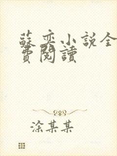 苏奕小说全文免费阅读封面