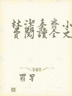 林洁秦齐小说免费阅读全文最新章节