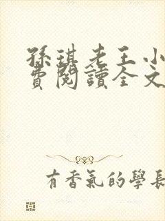 孙琪老王小说免费阅读全文无弹窗