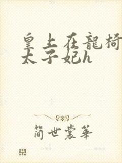 皇上在龙椅上c太子妃h封面