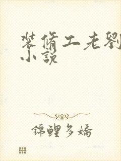 装修工老刘林雪小说封面