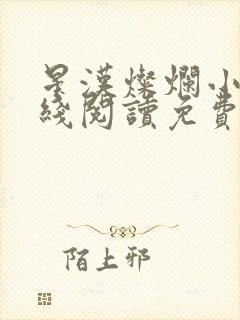 星汉灿烂小说在线阅读免费