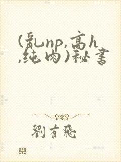 (乱np,高h,纯肉)秘书