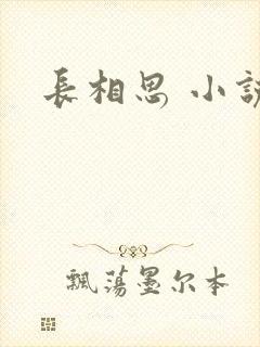 长相思 小说