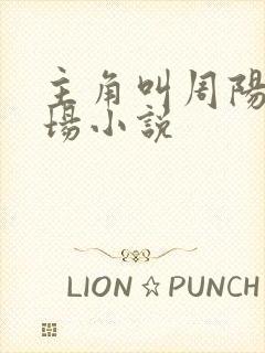 主角叫周阳的官场小说封面