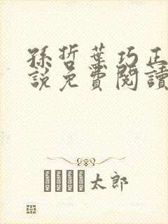 孙哲叶巧正版小说免费阅读