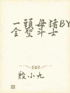 一头母猪BY黄金圣斗士封面