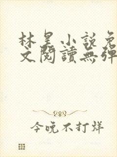 林昊小说免费全文阅读无弹窗