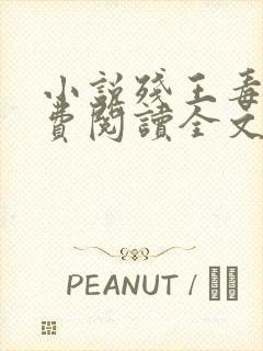 小说残王毒妃免费阅读全文