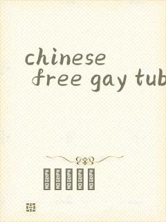 chinese free gay tube
