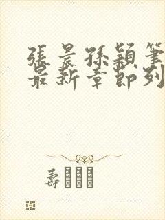 张晨孙颖笔趣阁最新章节列表封面