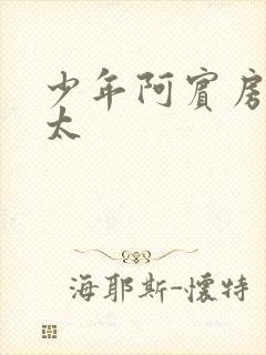 少年阿宾房东太太