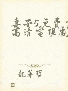 妻子5免费完整高清电视剧